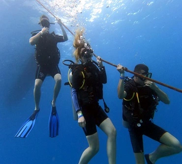 Discover Scuba Diving experience in Bayahibe for beginners from Punta Cana